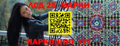 СК Апшеронск